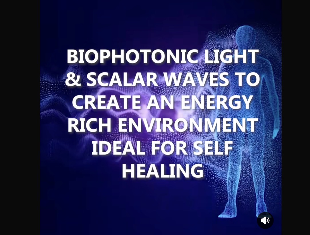 The Light System cellular activity educational graphic