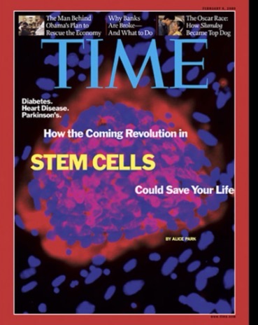 Educational reference about stem cells